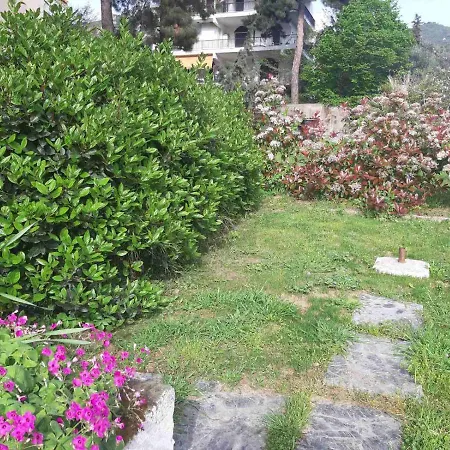 Palio Villa Palaiontsiflikion Exterior photo