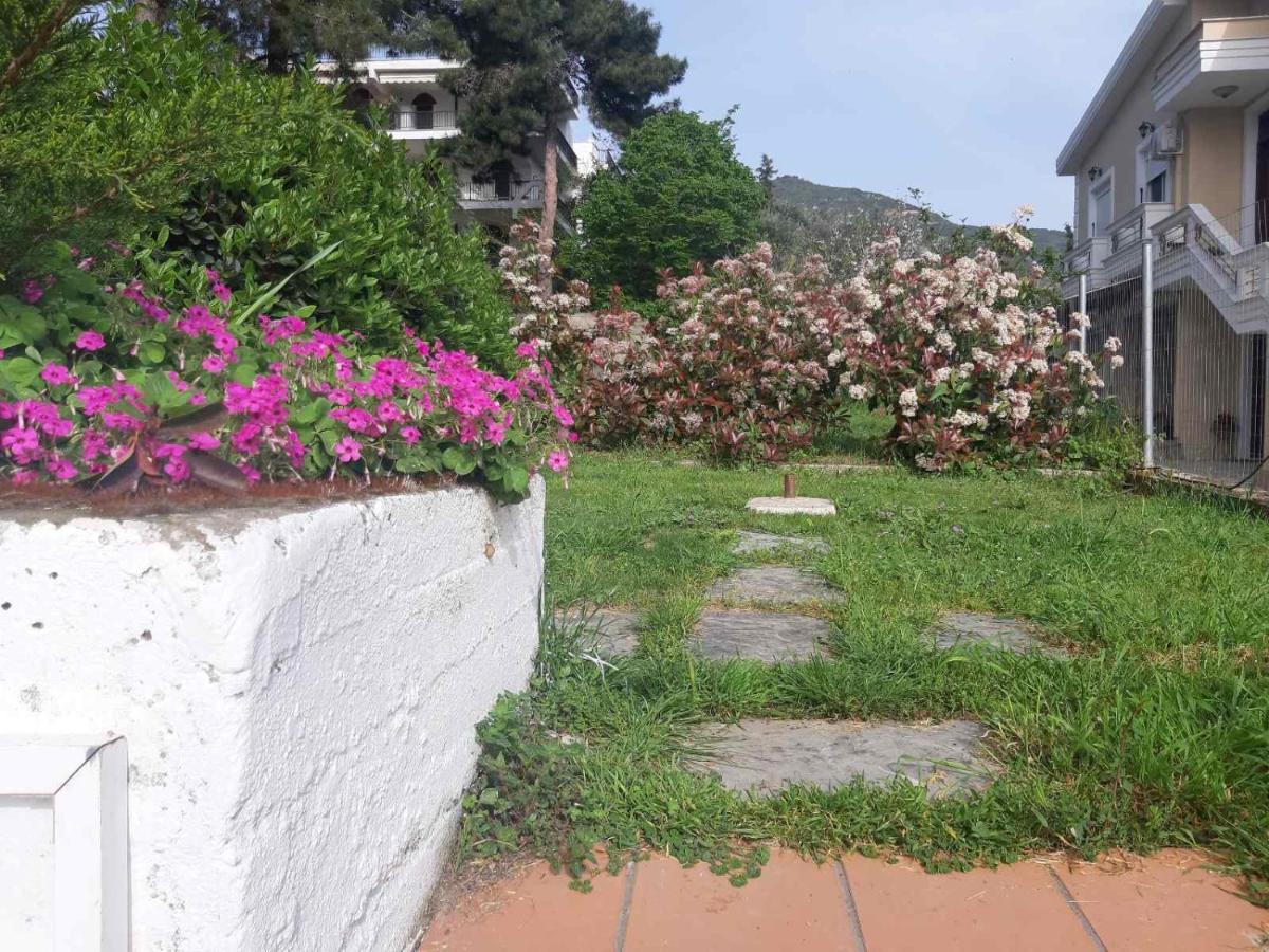 Apartament Palio *