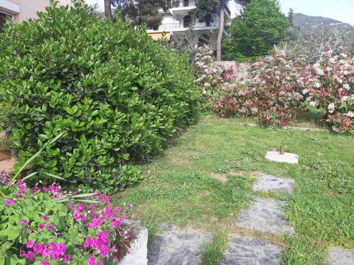 Apartament Palio PalaiónTsiflíkion